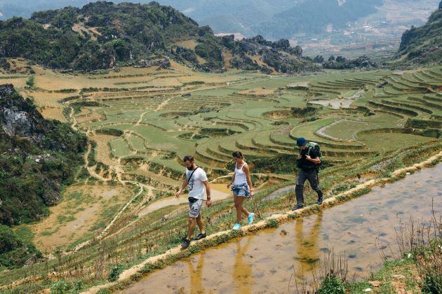 trekking through rice terraces in sapa lao cai