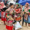 Sapa Excursion Sapa – Coc Ly Market Discovery