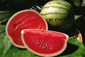 Watermelon (Dua Hau)