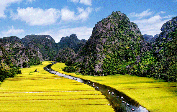 Place where the film Skull Island was filmed in wetland Nature Reserve in  Ninh Binh, Vietnam Stock Photo - Alamy