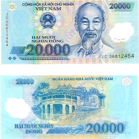 What does Vietnamese money look like?