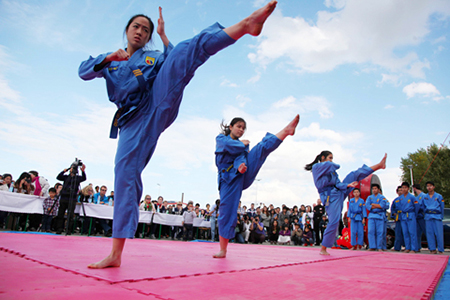 Vietnamese martial arts school