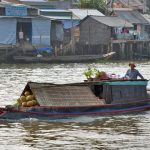 Boat with coconuts and bonsais in Cai Be Floating Market
