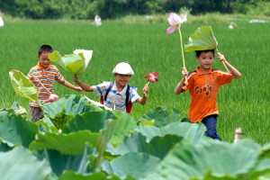 Safety in Vietnam