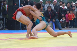 The Art of Traditional Wrestling