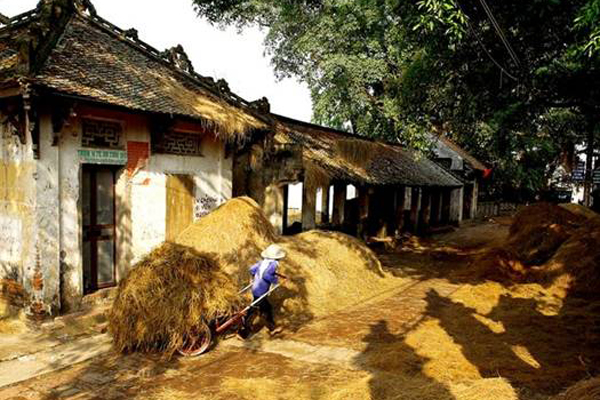 Image result for country vietnamese village with ponds and thatched house