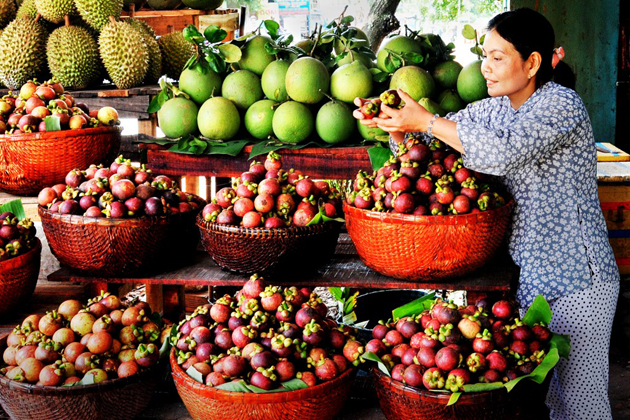 Vinh Long Market