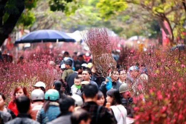 hanoi weather in february