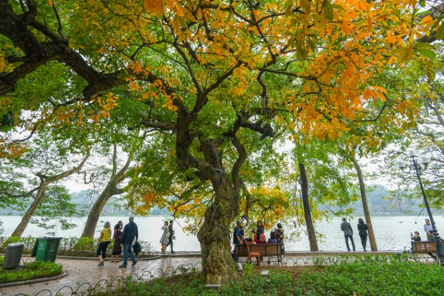 hanoi weather in february