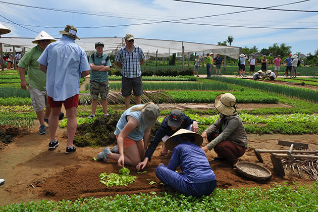 hoi an family farming tour