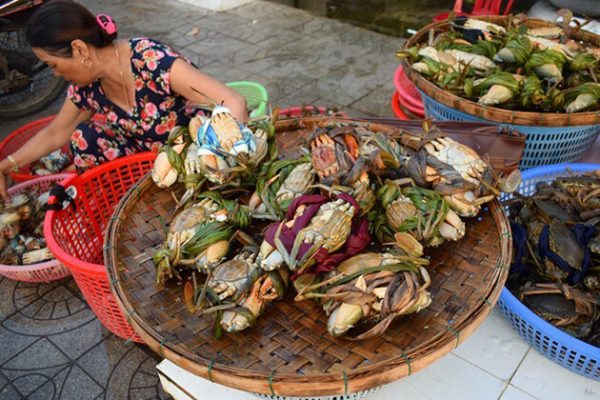 hoi an market vietnam family holiday in 2 weeks
