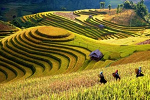 passion-for-vietnam