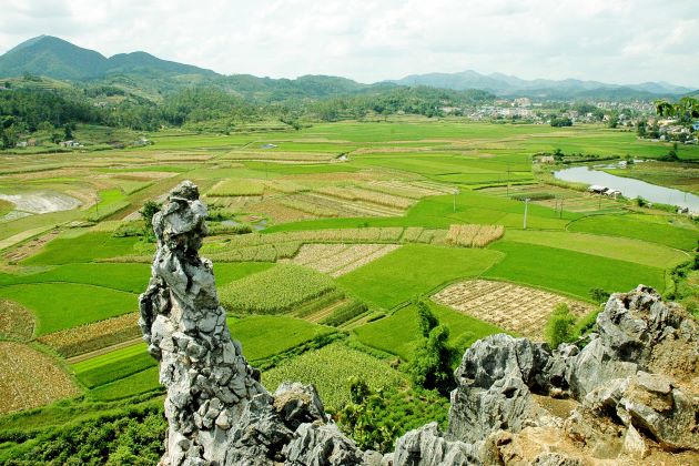 rice field in lang son vietnam