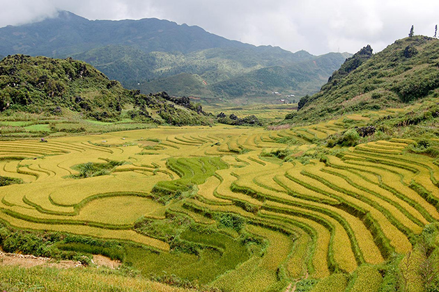sapa rice terraces northern vietnam adventure