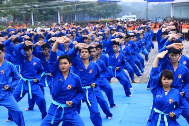 vietnamese martial arts