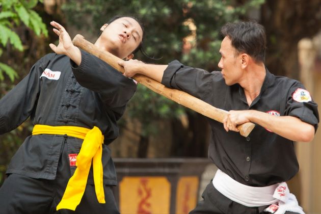 vietnamese martial arts at nguyen dynasty