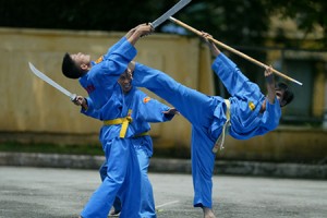 vovinam