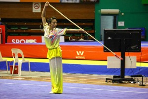 wushu