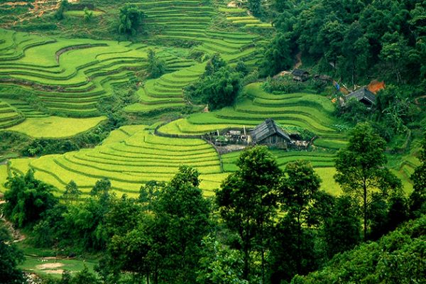 y linh ho village in sapa - Vietnam family tours