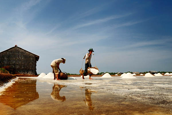 Bach Long Salt Making Village