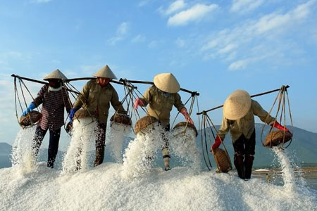 Bach Long Salt Making Village