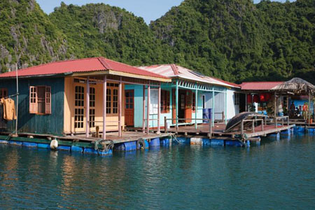 Floating village Halong Bay
