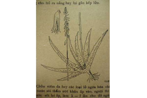 Medical Treatise of Hồng Nghĩa