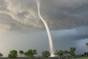 Tornado Gió Lốc, Vòi Rồng