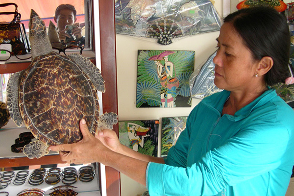 Tortoise Shell at Ha Tien Phu Quoc