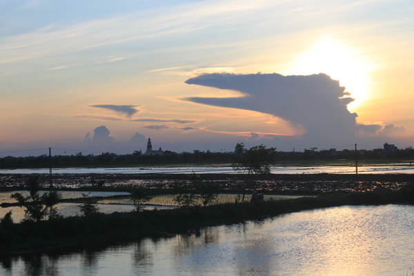 Xuan Thuy National Park