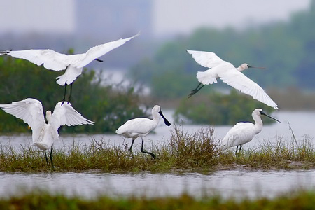 Xuan Thuy National Park