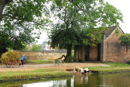 Village in Vietnam