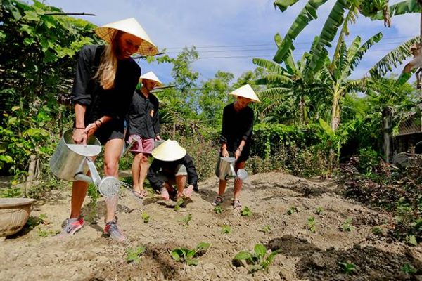 do farmer work at thanh toan village