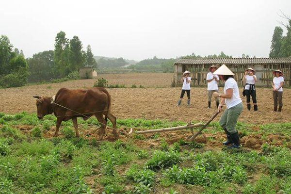 experience farm work on the field of Moon Garden