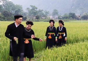 Tay people in the north of Vietnam