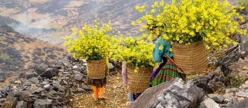 local people in northern vietnam