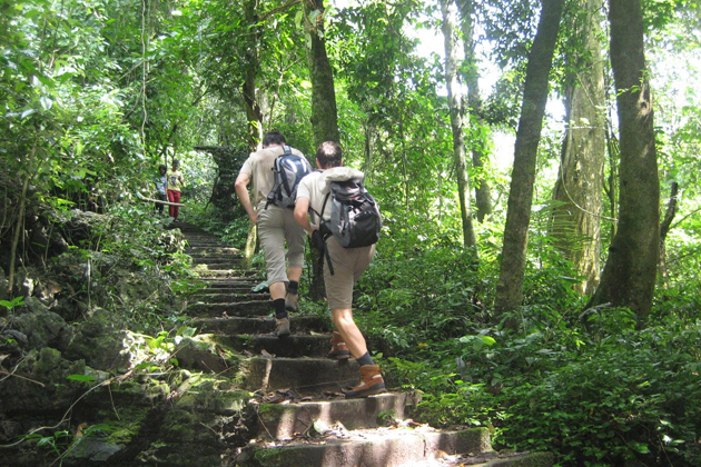 Trekking in Cuc Phuong National Park