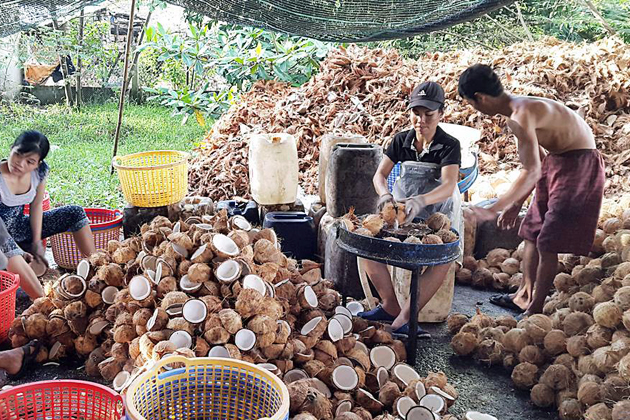 Coconut candy workshop in Mekong