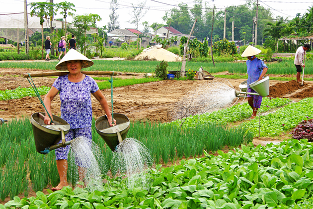 Visit Tra Que Vegetable Village