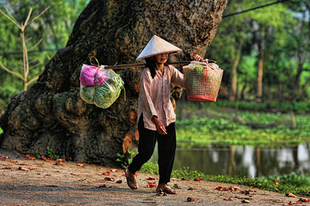 Vietnam daily life