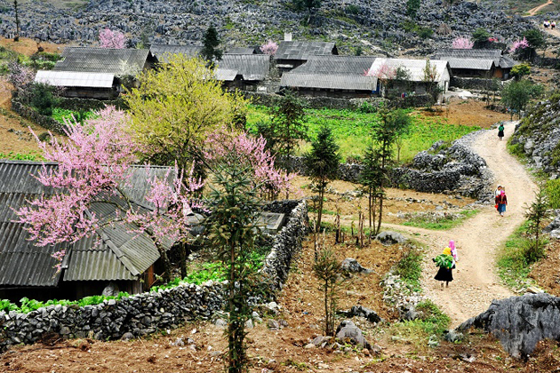 Dong Van Rock Plateau