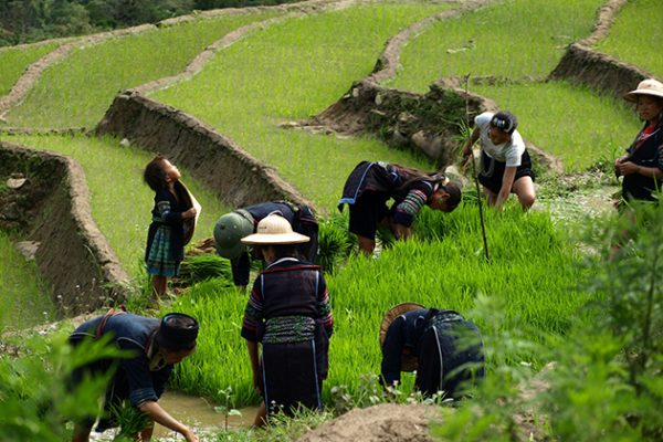 Y Linh Ho Village - Vietnam adventure vacation packages