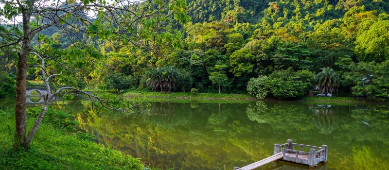 small lake inside cuc phuong national park