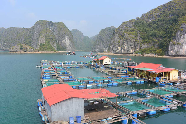 floating village in Halong Bay