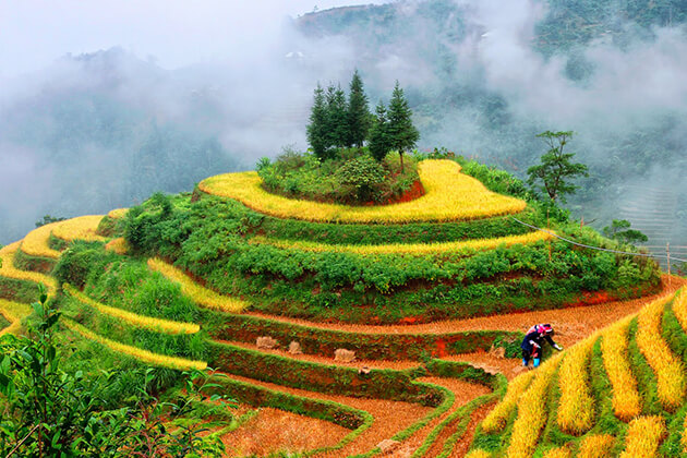 Hoang Su Phi trekking - vietnam adventure tours