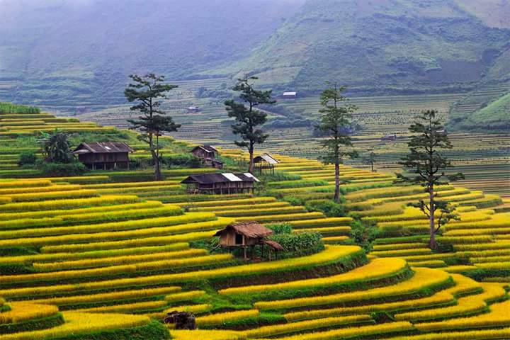 Pu Luong Nature Reserve - Vietnam luxury tours