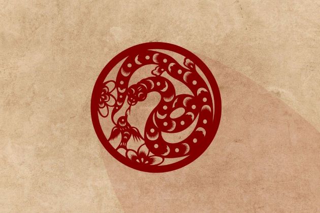 snake zodiac traits