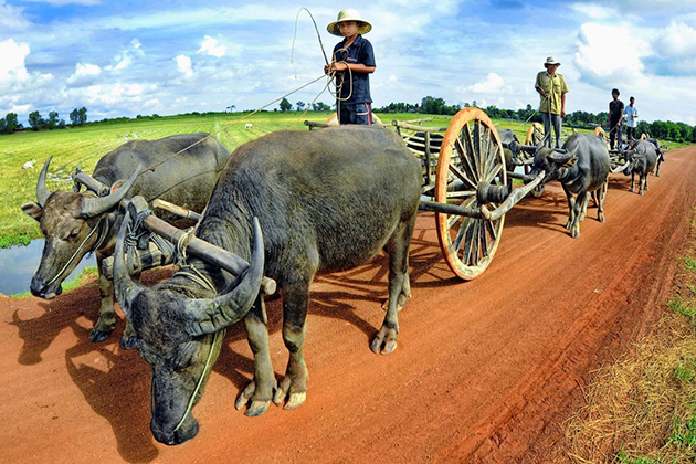 Cambodia rural Lifestyle