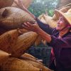 indochina travel package 30 days