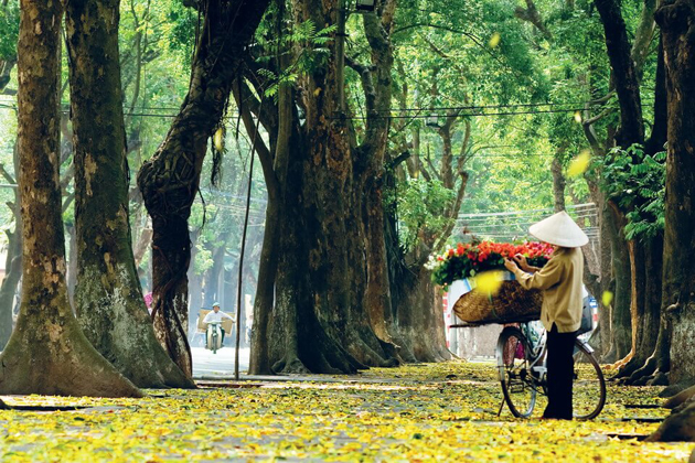 hanoi in autumn